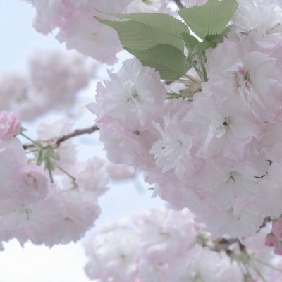 东城福瑞交流群